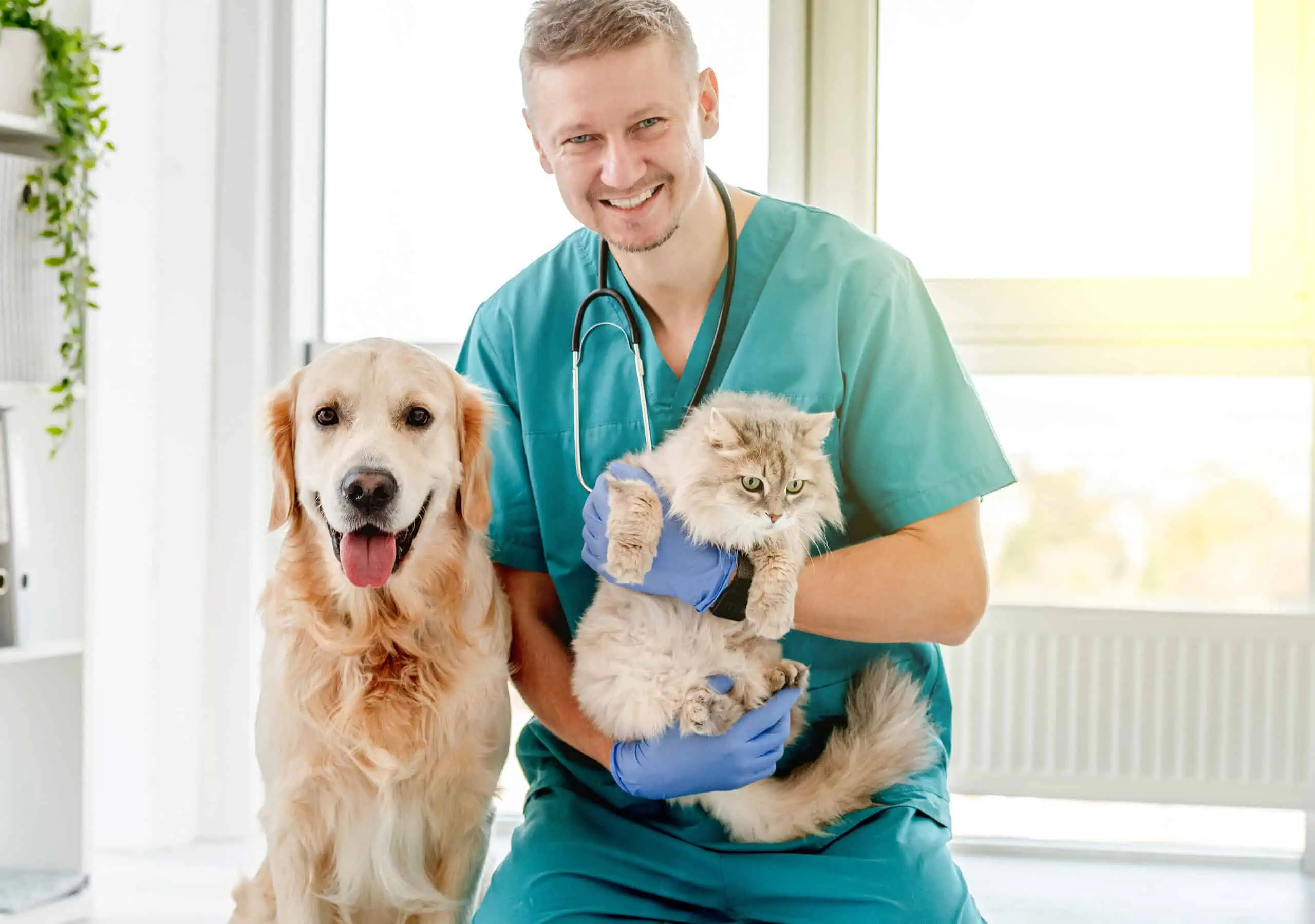 Veterinary Clinic Insurance Wholesaler