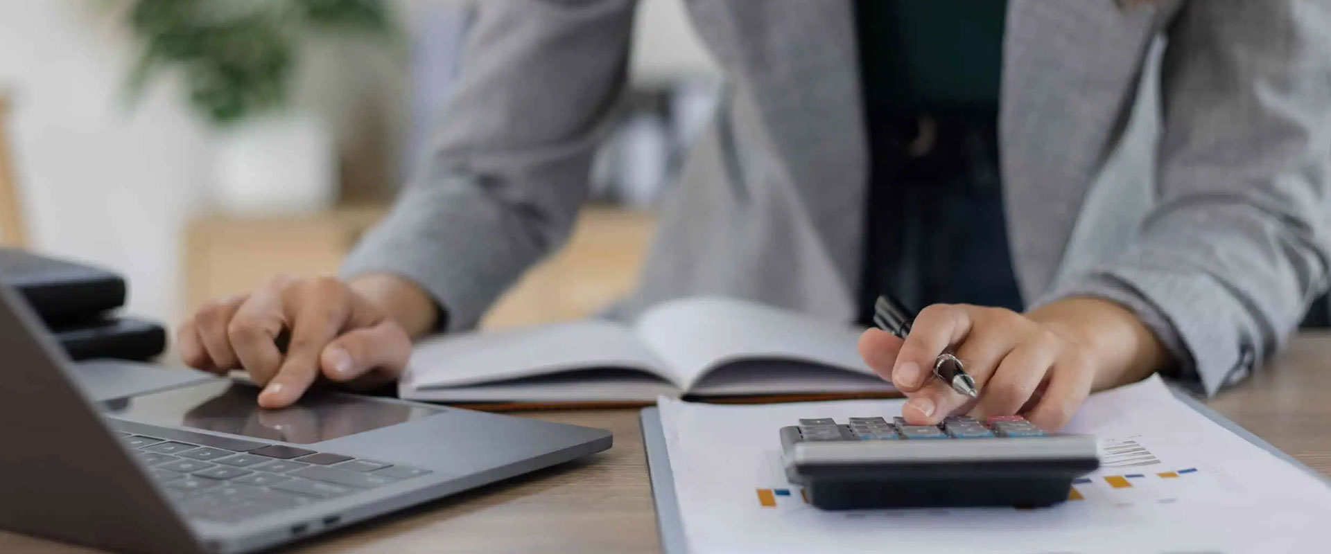 Accountant Insurance Wholesaler