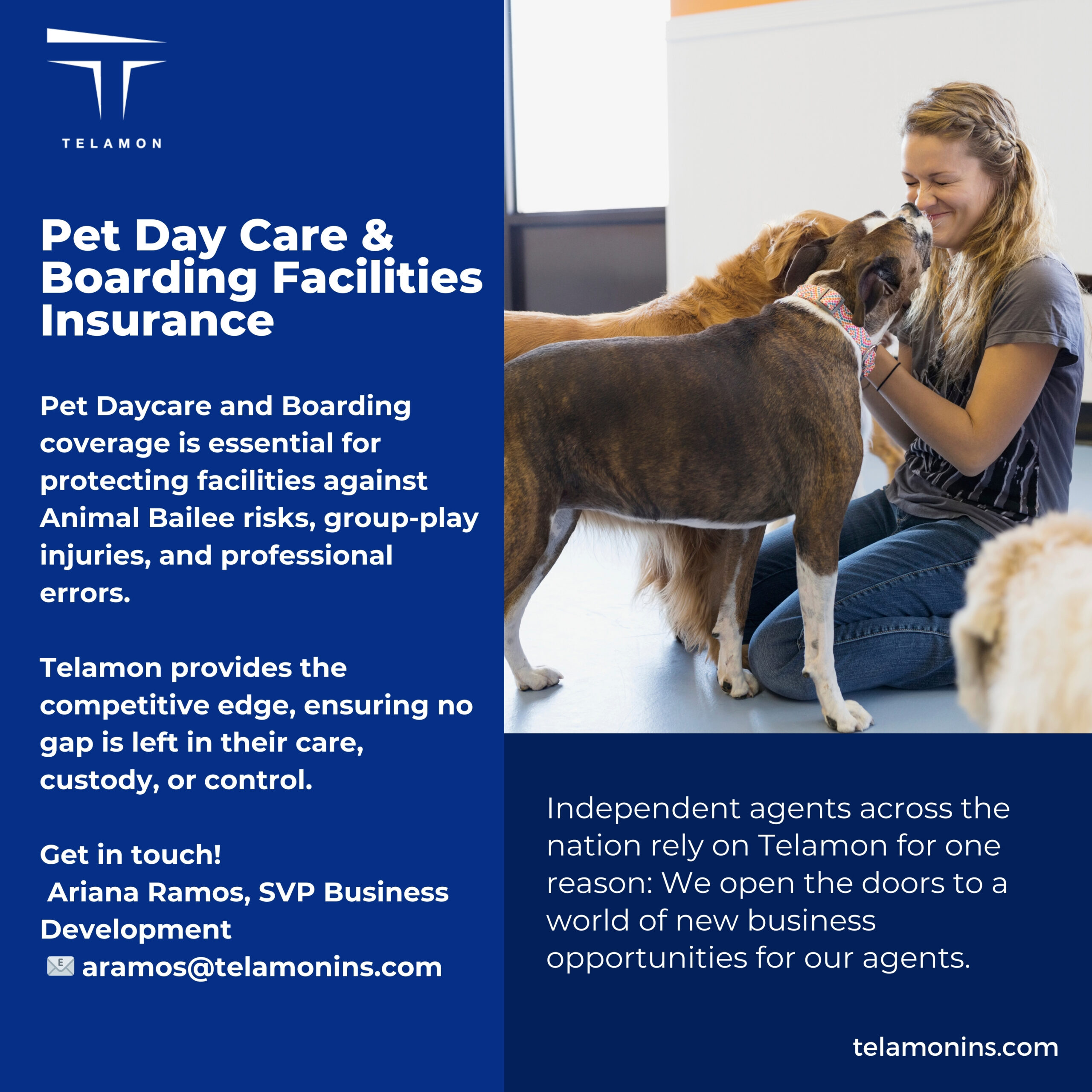 Pet Day Care & Boarding Wholesaler