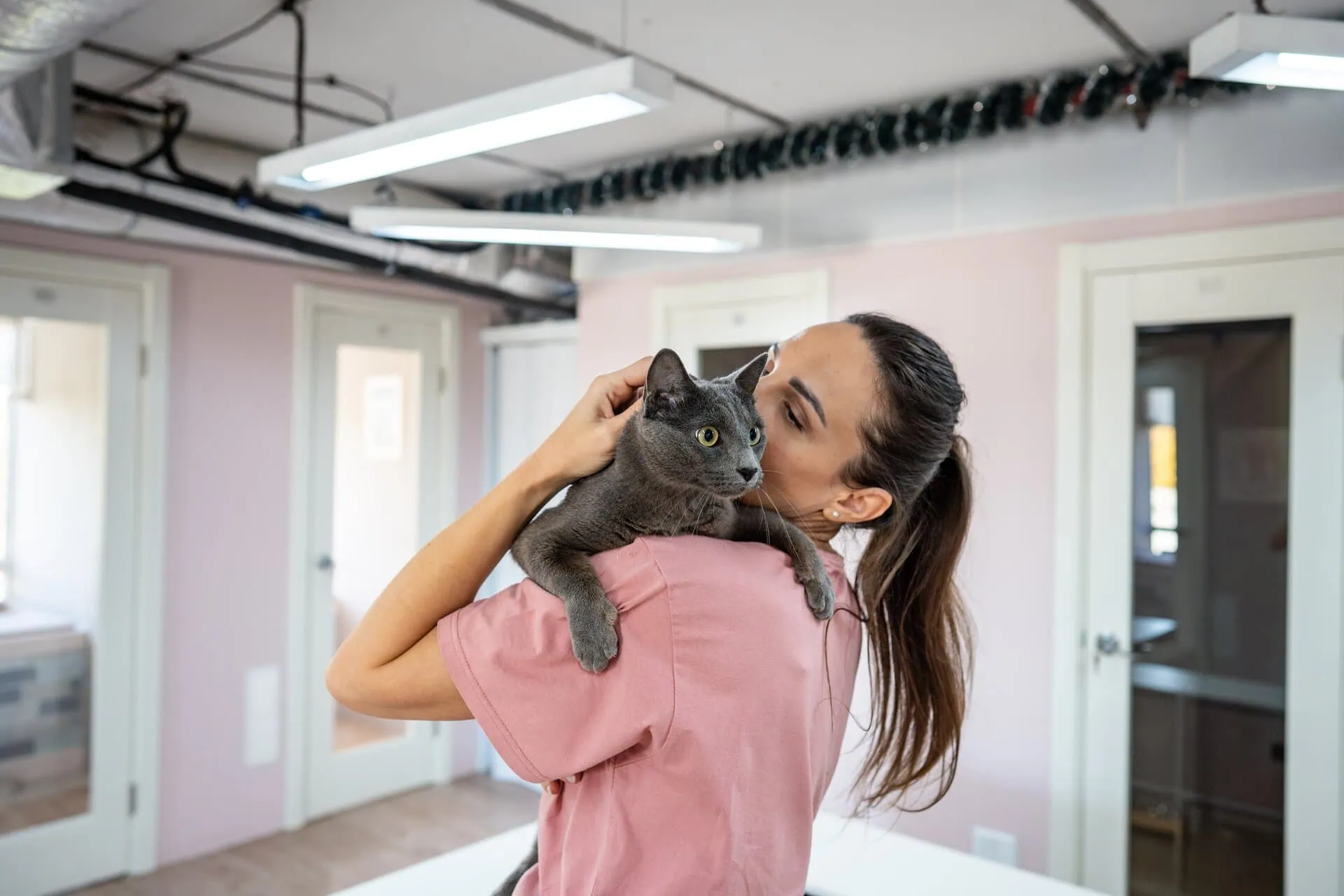 Pet day care & boarding Insurance Wholesaler