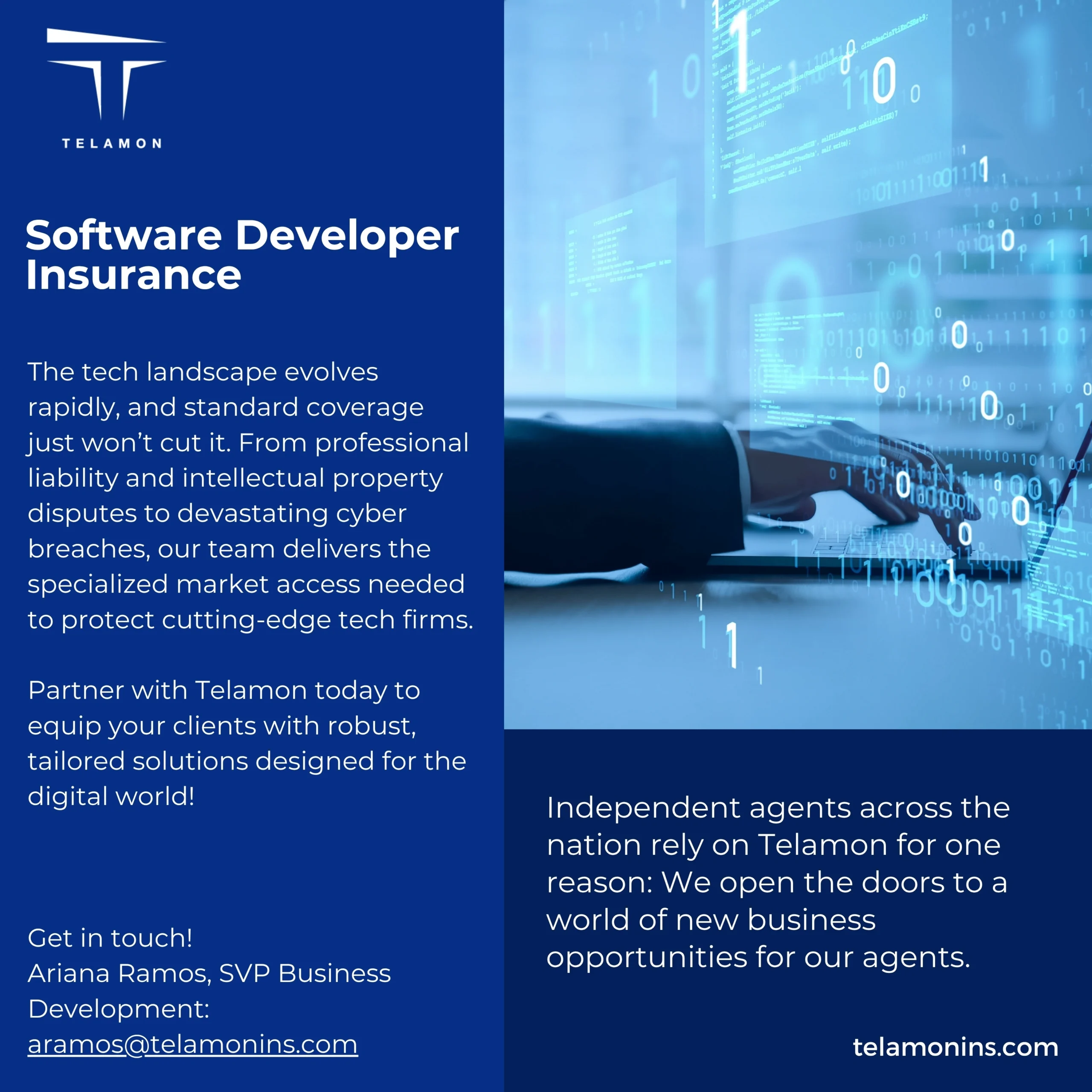 Software Developer Insurance
